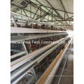 Different Capacity Layer Chicken Cage System